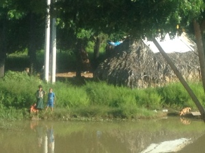 children playing at a river's edge